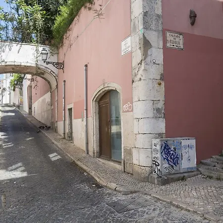 Dia Da Flor Bairro Alto Lisbona