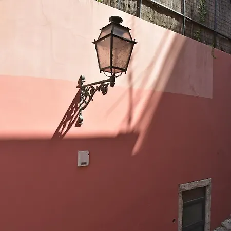 Dia Da Flor Bairro Alto *