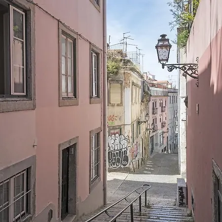 Dia Da Flor Bairro Alto *